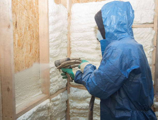 Types of Insulation We Offer in Remlap, AL